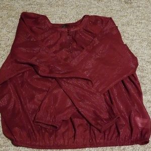 Express long sleeve sheer shirt